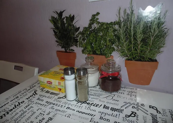 Hostel Motion بيت شباب كراكوفيا